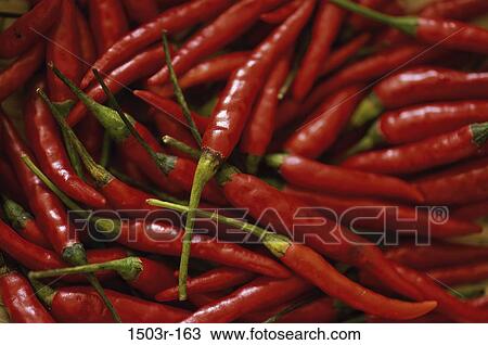 Chili Peppers View Large Photo Image Stock Image - Chili Peppers. Fotosearch