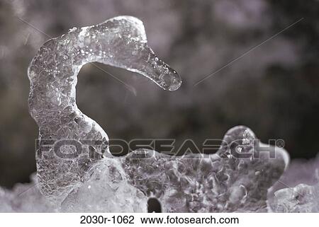 Stock Image - duck, bird, ice, winter, sculpture, nature, season. Fotosearch