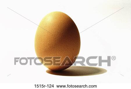 Egg View Large Photo Image Picture - Egg. Fotosearch