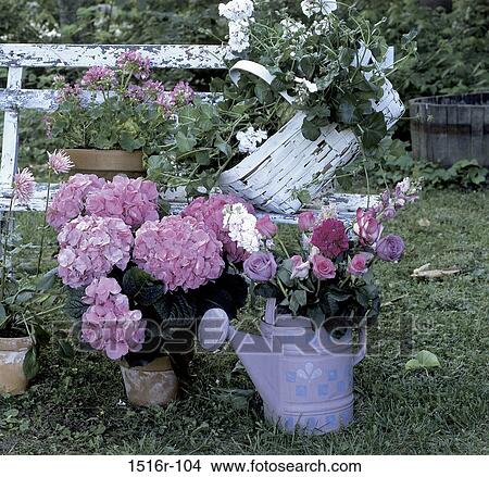 fence, flowers, gardening, basket, garden, pots, hobby View Large Photo Image Picture - fence, flowers, gardening, basket, garden, pots, hobby. Fotosearch