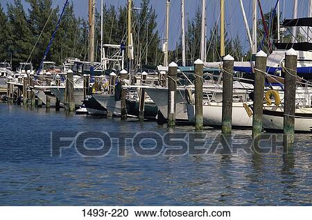 Florida, USA View Large Photo Image Stock Image - Florida, USA. Fotosearch
