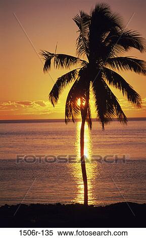 Key West, Florida, USA View Large Photo Image Stock Photography - Key West, Florida, USA. Fotosearch