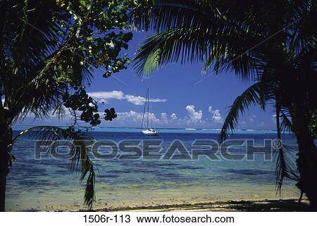 Moorea, French Polynesia View Large Photo Image Stock Image - Moorea, French Polynesia. Fotosearch