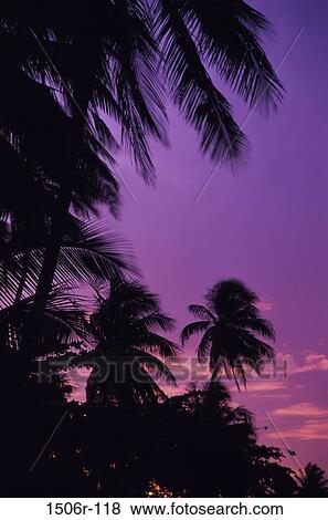Moorea, French Polynesia View Large Photo Image Stock Photo - Moorea, French Polynesia. Fotosearch