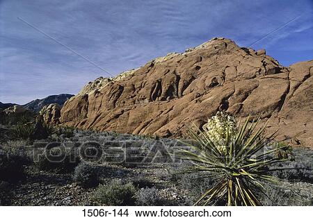 Red Rock Canyon National Conservation Area, Nevada, USA View Large Photo Image Picture - Red Rock Canyon National Conservation Area, Nevada, USA. Fotosearch