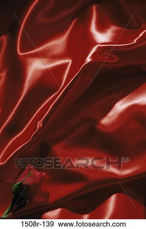 Stock Photo - red, rose, flower, nature, background, satin. Fotosearch