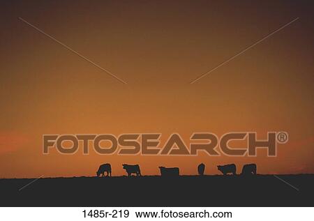 Rocky Flats, Colorado, USA View Large Photo Image Stock Photo - Rocky Flats, Colorado, USA. Fotosearch