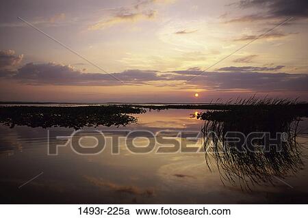 sky, grass, reflection, water, clouds, sun View Large Photo Image Stock Image - sky, grass, reflection, water, clouds, sun. Fotosearch