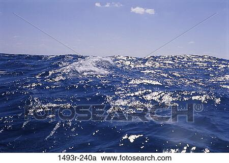 sky, reflection, water, ripples, ocean, blue View Large Photo Image Stock Image - sky, reflection, water, ripples, ocean, blue. Fotosearch