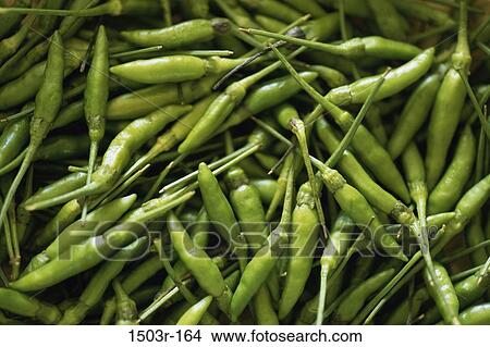 small, green, spice, peppers, food View Large Photo Image Picture - small, green, spice, peppers, food. Fotosearch