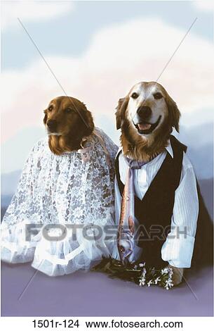 tie, animals, couple, sitting, flowers, dress, costumes View Large Photo Image Picture - tie, animals, couple, sitting, flowers, dress, costumes. Fotosearch