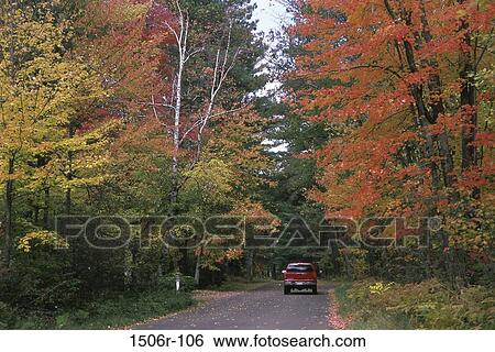 trees, road, street, driving, car, autumn View Large Photo Image Stock Photograph - trees, road, street, driving, car, autumn. Fotosearch