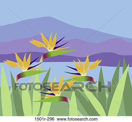 Tropical View by Braucht View Large Photo Image Stock Photograph - Tropical View by Braucht. Fotosearch