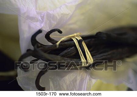 Vanilla View Large Photo Image Stock Image - Vanilla. Fotosearch