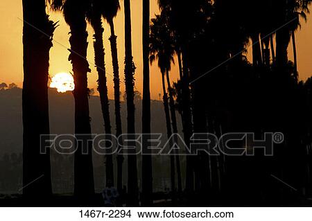 Picture - water, dusk, evening, sunset, beach, silhouette. Fotosearch