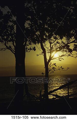 water, dusk, evening, sunset, beach, calm, silhouette View Large Photo Image Stock Photography - water, dusk, evening, sunset, beach, calm, silhouette. Fotosearch