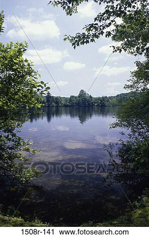 water, lake, trees, nature, tranquil, peaceful View Large Photo Image Stock Image - water, lake, trees, nature, tranquil, peaceful. Fotosearch
