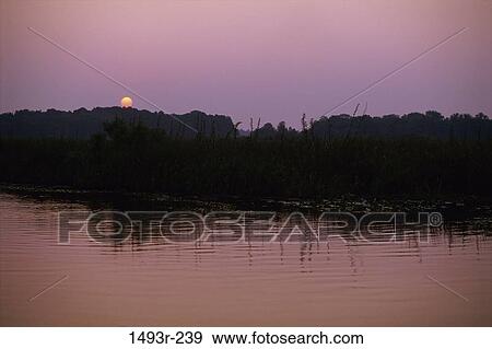 water, morning, dusk, evening, sunset, lake View Large Photo Image Stock Photo - water, morning, dusk, evening, sunset, lake. Fotosearch