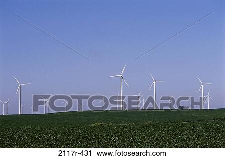 Wind Turbines, Iowa, USA View Large Photo Image Stock Image - Wind Turbines, Iowa, USA. Fotosearch