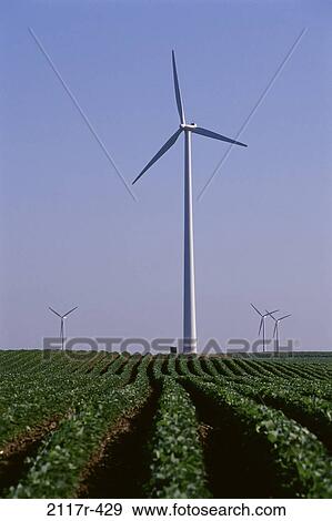 Wind Turbines, Iowa, USA View Large Photo Image Stock Photo - Wind Turbines, Iowa, USA. Fotosearch