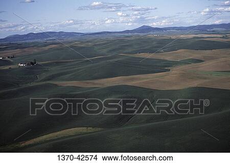Aerial view of fields, Palouse, Washington State, USA View Large Photo Image Picture - Aerial view of fields, Palouse, Washington State, USA. Fotosearch