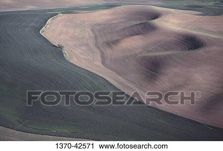 Aerial view of fields, Palouse, Washington State, USA View Large Photo Image Stock Image - Aerial view of fields, Palouse, Washington State, USA. Fotosearch