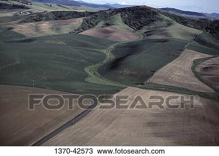 Aerial view of fields, Palouse, Washington State, USA View Large Photo Image Stock Image - Aerial view of fields, Palouse, Washington State, USA. Fotosearch