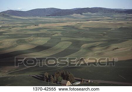Aerial view of fields, Palouse, Washington State, USA View Large Photo Image Stock Photography - Aerial view of fields, Palouse, Washington State, USA. Fotosearch