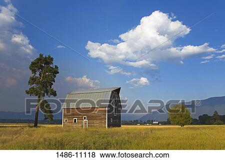 Barn in a field, Kalispell, Montana, USA View Large Photo Image Stock Photo - Barn in a field, Kalispell, Montana, USA. Fotosearch