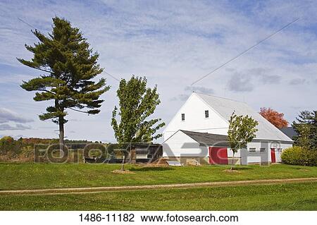 Stock Image - Barn in a field, New Hampshire, USA. Fotosearch