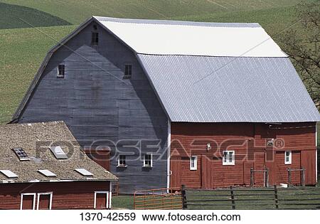 Barn in a field, Palouse, Washington State, USA View Large Photo Image Stock Photo - Barn in a field, Palouse, Washington State, USA. Fotosearch