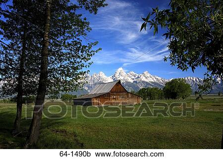 Stock Image - Barn in a field with a mountain range in the background, Grand Teton National Park, Wyoming, USA. Fotosearch