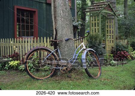 Bicycle leaning on a tree in front of a building, New York State, USA View Large Photo Image Stock Image - Bicycle leaning on a tree in front of a building, New York State, USA. Fotosearch