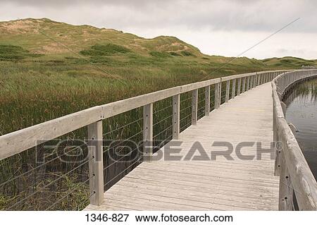 Boardwalk passing through a marshland, Greenwich, Prince Edward Island, Canada View Large Photo Image Stock Photo - Boardwalk passing through a marshland, Greenwich, Prince Edward Island, Canada. Fotosearch