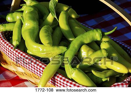 Close-up of green chili peppers, Wyoming, USA View Large Photo Image Stock Photo - Close-up of green chili peppers, Wyoming, USA. Fotosearch