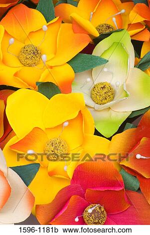 Close-up of paper flowers at a market stall, Oregon State Fair, Salem, Oregon, USA View Large Photo Image Stock Image - Close-up of paper flowers at a market stall, Oregon State Fair, Salem, Oregon, USA. Fotosearch