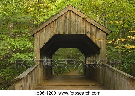 Stock Image - Covered bridge in a forest, Devils Hopyard State Park, East Haddam, Connecticut, USA. Fotosearch