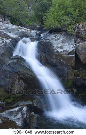 Stock Photo - Creek flowing through a forest, Humboldt-Toiyabe National Forest, Ebbetts Pass Scenic Byway, California, USA. Fotosearch