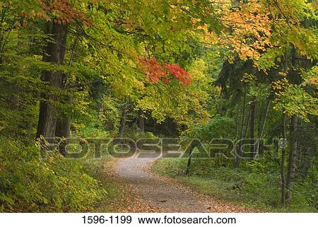 Dirt road passing through a forest, West Hartford Reservoir No. 6, West Hartford, Connecticut, USA View Large Photo Image Stock Photo - Dirt road passing through a forest, West Hartford Reservoir No. 6, West Hartford, Connecticut, USA. Fotosearch