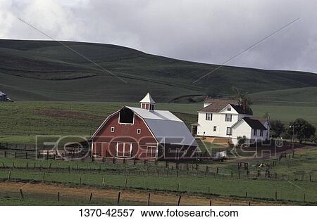 Farmhouse and barn in a field, Palouse, Washington State, USA View Large Photo Image Stock Photo - Farmhouse and barn in a field, Palouse, Washington State, USA. Fotosearch
