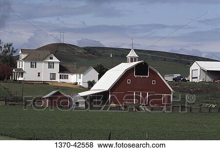 Farmhouse and barn in a field, Palouse, Washington State, USA View Large Photo Image Stock Photo - Farmhouse and barn in a field, Palouse, Washington State, USA. Fotosearch