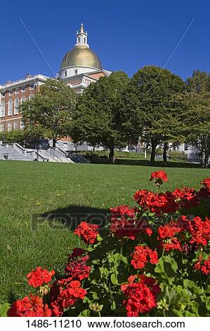 Flowers in a park with a government building in the background, Massachusetts State House, Boston, Massachusetts, USA View Large Photo Image Stock Image - Flowers in a park with a government building in the background, Massachusetts State House, Boston, Massachusetts, USA. Fotosearch