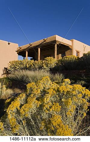 Flowers in front of a museum, New Mexico Museum, Museum Hill, Santa Fe, New Mexico, USA View Large Photo Image Stock Image - Flowers in front of a museum, New Mexico Museum, Museum Hill, Santa Fe, New Mexico, USA. Fotosearch
