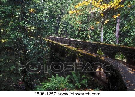 Footbridge in a forest, Works Progress Administration Hiker Bridge, Whatcom Falls Park, Bellingham, Washington State, USA View Large Photo Image Stock Photo - Footbridge in a forest, Works Progress Administration Hiker Bridge, Whatcom Falls Park, Bellingham, Washington State, USA. Fotosearch