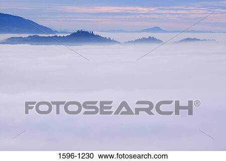 Forest covered with fog, Washburne Butte Viewpoint, Linn County, Oregon, USA View Large Photo Image Stock Image - Forest covered with fog, Washburne Butte Viewpoint, Linn County, Oregon, USA. Fotosearch