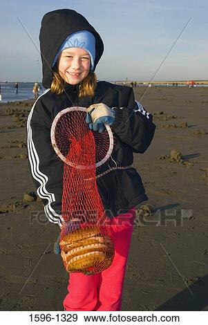 Girl holding razor clams in a fishing net, Long Beach, Washington State, USA View Large Photo Image Stock Photo - Girl holding razor clams in a fishing net, Long Beach, Washington State, USA. Fotosearch