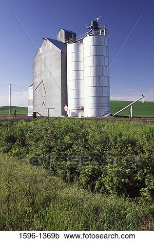 Grain elevator in a field, Palouse, Whitman County, Washington State, USA View Large Photo Image Stock Image - Grain elevator in a field, Palouse, Whitman County, Washington State, USA. Fotosearch