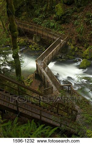 High angle view of a footbridge, McDowell Creek Falls, Linn County, Oregon, USA View Large Photo Image Stock Image - High angle view of a footbridge, McDowell Creek Falls, Linn County, Oregon, USA. Fotosearch