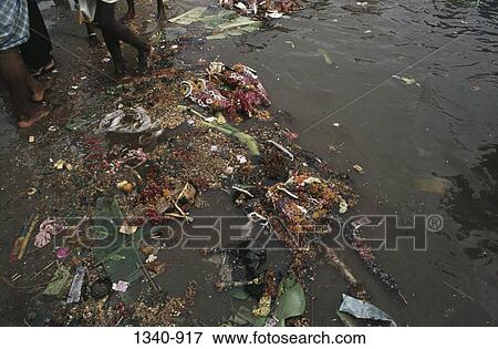 High angle view of a polluted river, Tamil Nadu, India View Large Photo Image Stock Photo - High angle view of a polluted river, Tamil Nadu, India. Fotosearch