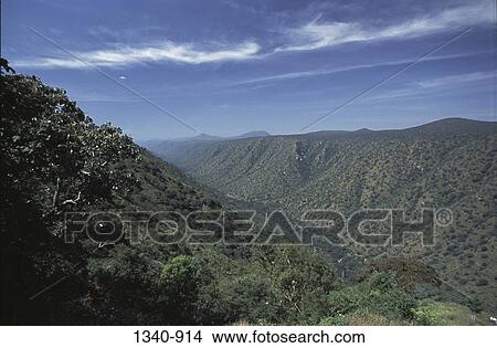 High angle view of a valley, Sigur Peak, Nilgiris, Tamil Nadu, India View Large Photo Image Picture - High angle view of a valley, Sigur Peak, Nilgiris, Tamil Nadu, India. Fotosearch